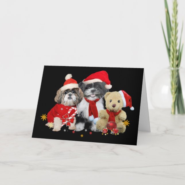 Shih Tzu & Teddy Bear Xmas Card (Front)