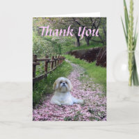 Shih Tzu Thank You Card