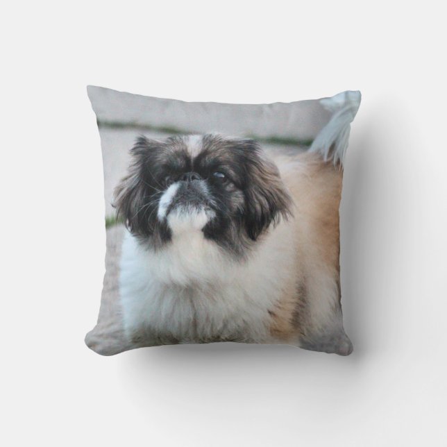 Shih Tzu Throw Pillow (Front)