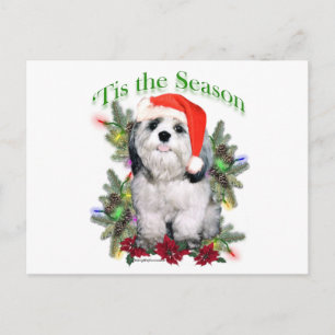 Shih Tzu ‘Tis Postcard