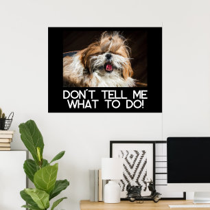 Shih tzu tongue funny Don't tell me what to do Poster