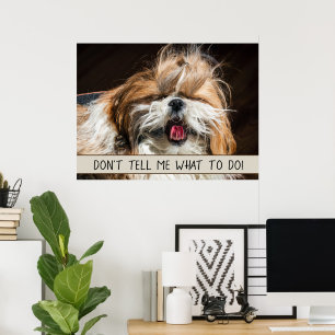Shih tzu tongue funny Don't tell me what to do Poster