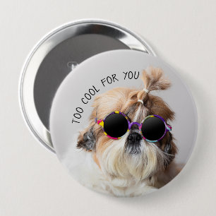Shih Tzu Too Cool for you Sunglasses Photo 4 Inch Round Button
