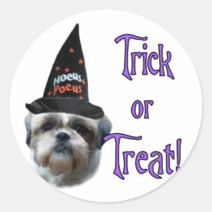 Shih Tzu Trick Classic Round Sticker