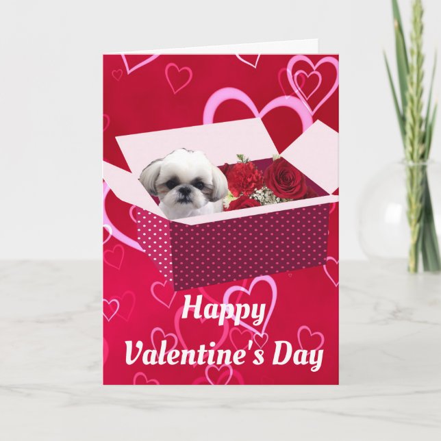 Shih tzu Valentine's Day Card, Dog Holiday Card (Front)