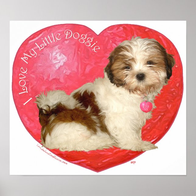Shih Tzu Valentine's Day Poster (Front)