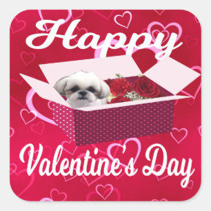 Shih tzu Valentine's Day Sticker, Dog Square Sticker