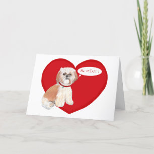 Shih Tzu Valentines Holiday Card