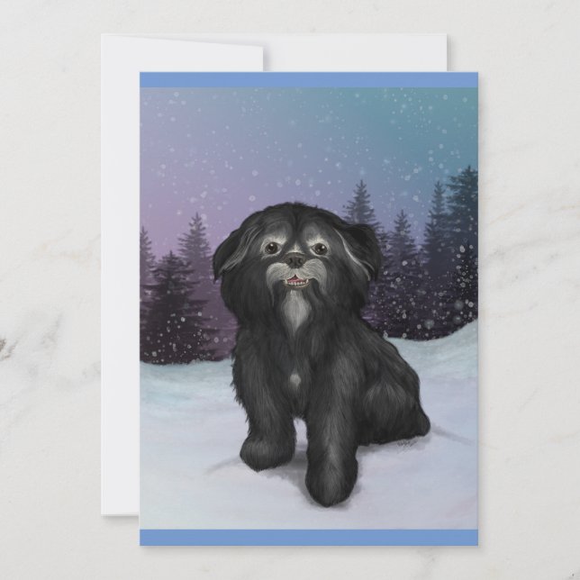 Shih-Tzu Winter : Carte de voeux! (Devant)