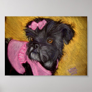 Shih-tzu with Pink Bow Poster
