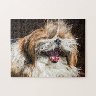 Shih tzu yawning laughing funny cute jigsaw puzzle