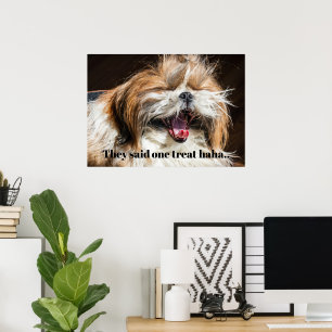 Shih tzu yawning laughing funny text customize poster