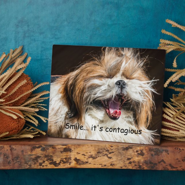 Shih tzu yawning laughing smile text customize plaque (Side)