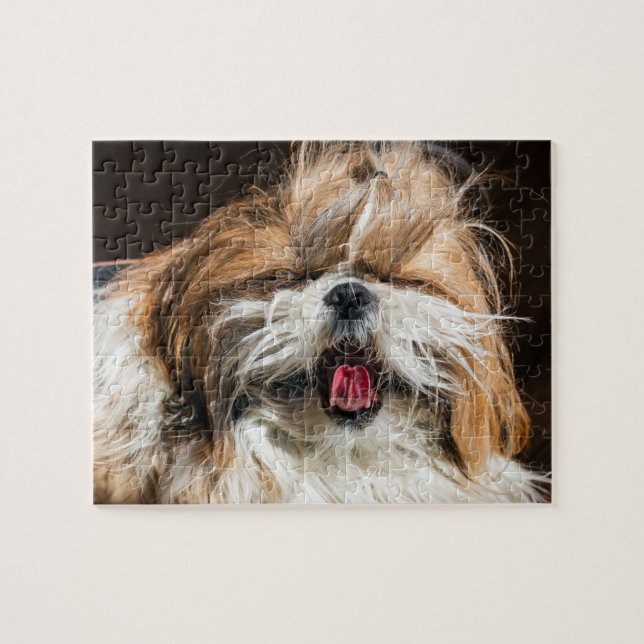Shih tzu yawning tongue funny cute jigsaw puzzle (Horizontal)