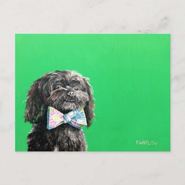 Shih Tzu Yorkie Dog Postcard - Chip (Front)
