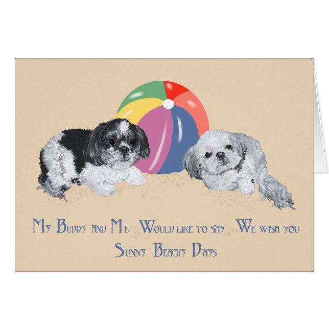 Shih Tzus at the Beach (Front Horizontal)