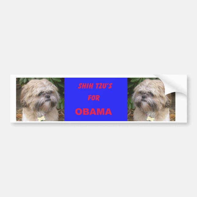 Shih Tzu's for Obama Bumper Sticker (Front)