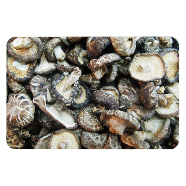 Shiitake Mushrooms Magnet (Horizontal)