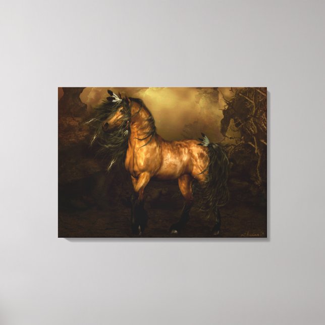Shikoba Buckskin horse Stretched Canvas Print (Front)