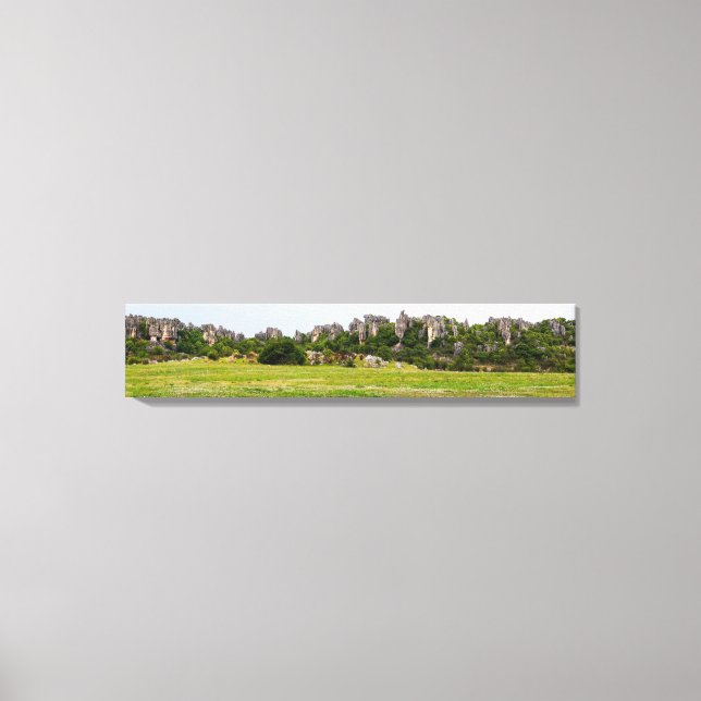Shilin pinnacles Stone forest - Yunnan,China,Asia Canvas Print (Front)