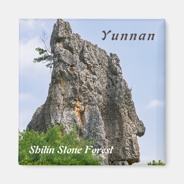 Shilin pinnacles Stone forest - Yunnan,China,Asia Magnet (Front)