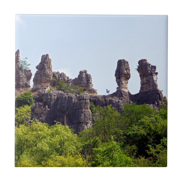 Shilin pinnacles Stone forest - Yunnan,China,Asia Tile (Front)