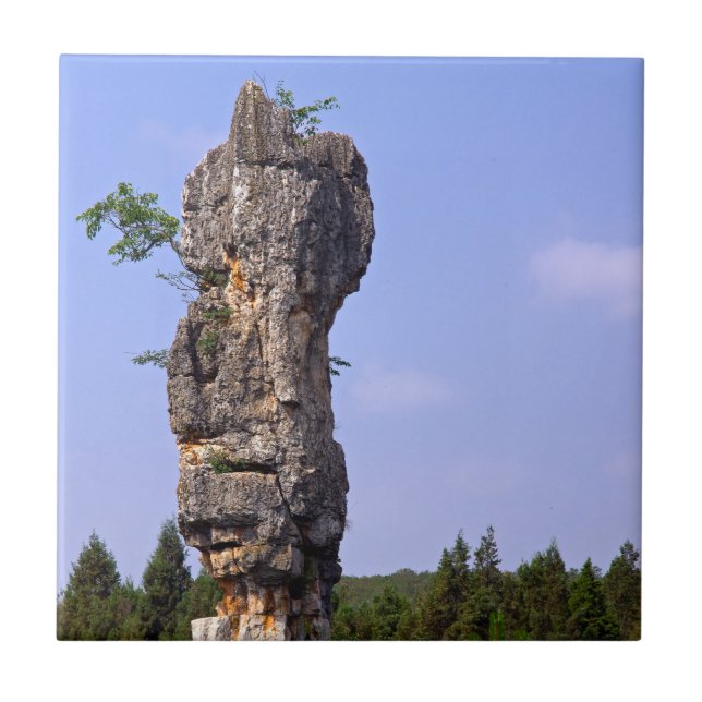 Shilin pinnacles Stone forest - Yunnan,China,Asia Tile (Front)
