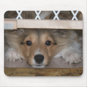 Shiloh Mousepad