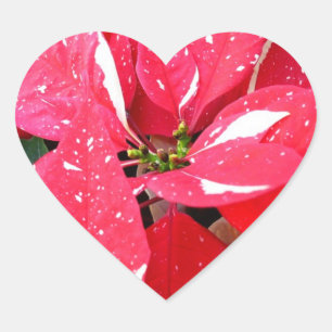 Shimmer Star Surprise Poinsettia Holiday Floral Heart Sticker