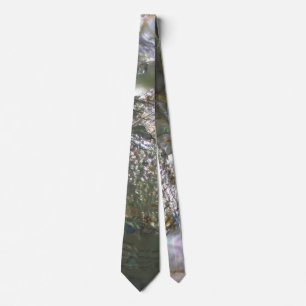 Shimmering Abalone Seashell, Beautiful Nature Tie