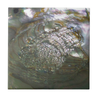 Shimmering Abalone Seashell, Beautiful Nature Tile