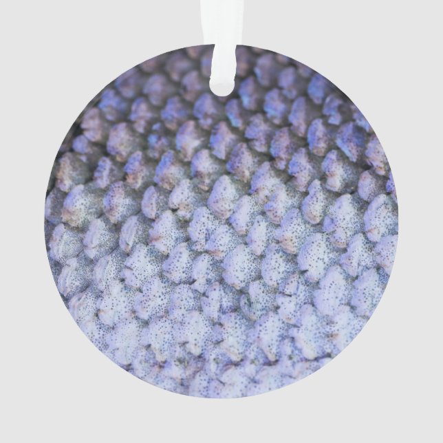 Shimmering Salmon Ornament (Back)