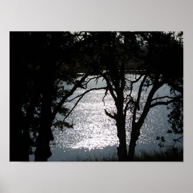 "Shimmering Silhouettes" Poster (Front)