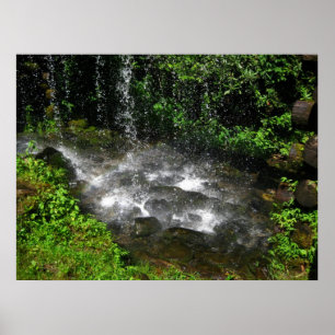 Shimmering Waters Poster
