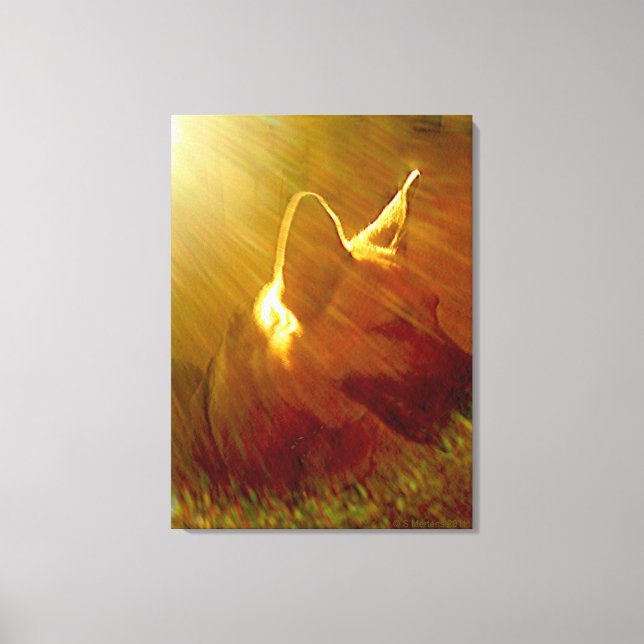 Shine On Me German Shepherd #1 Canvas Print (Front)