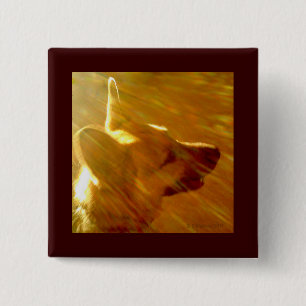 Shine On Me German Shepherd #2 2 Inch Square Button