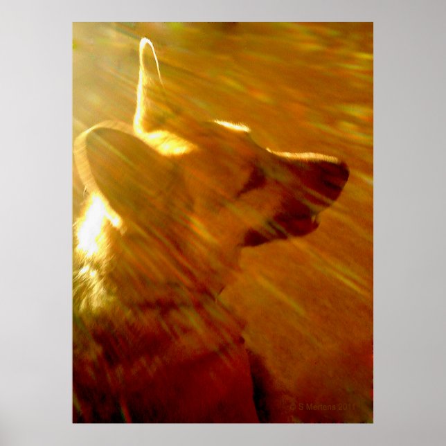 Shine On Me German Shepherd #2 Poster (Front)