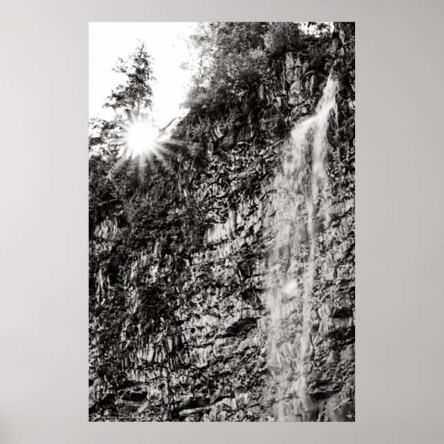 Shine On Poster (Front)