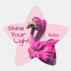 Shine Your Light Stickers