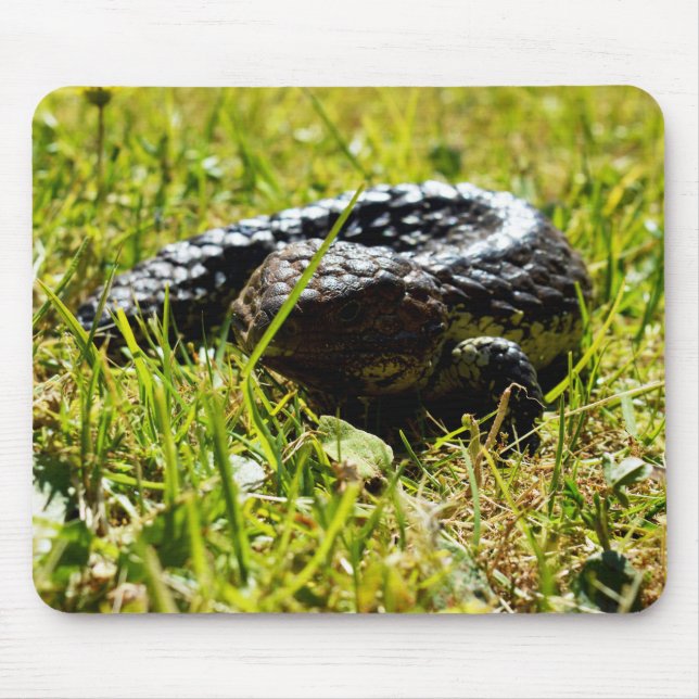 Shingleback Lizard On Grass, Mousepad (Front)