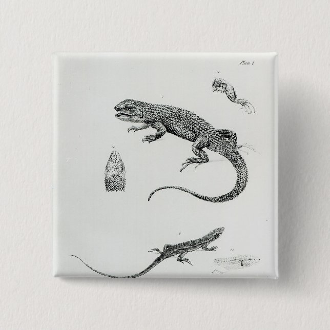 Shingled Iguana 2 Inch Square Button (Front)