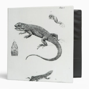 Shingled Iguana Binder