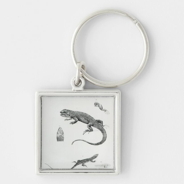 Shingled Iguana Keychain (Front)