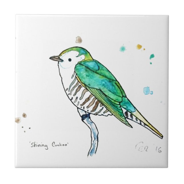 Shining Cuckoo Tile (Front)