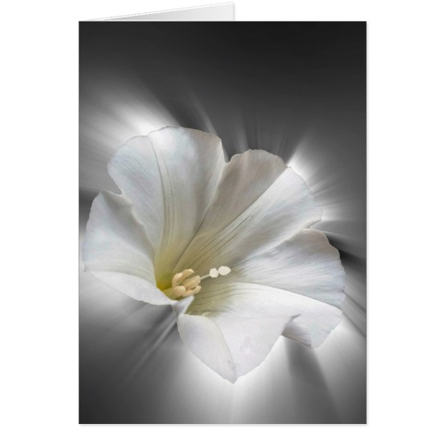 Shining in the dark (Front)