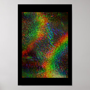 Shining Lights Holographic Glitter Rainbows Poster