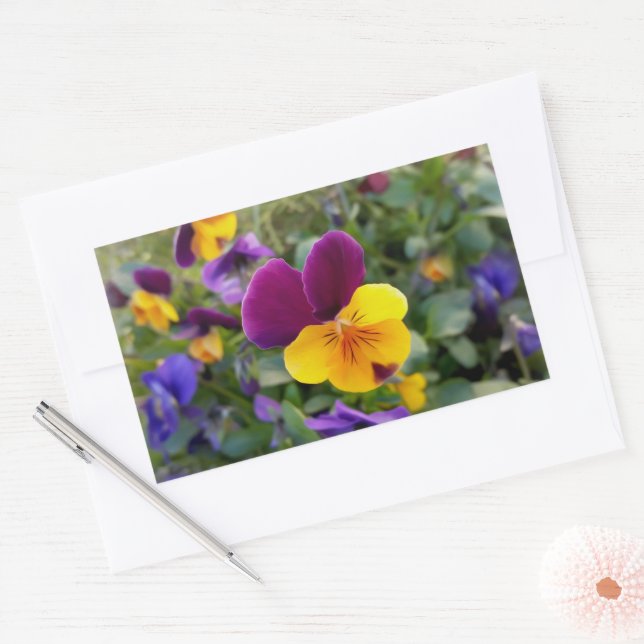 Shining pansies sticker (Envelope)