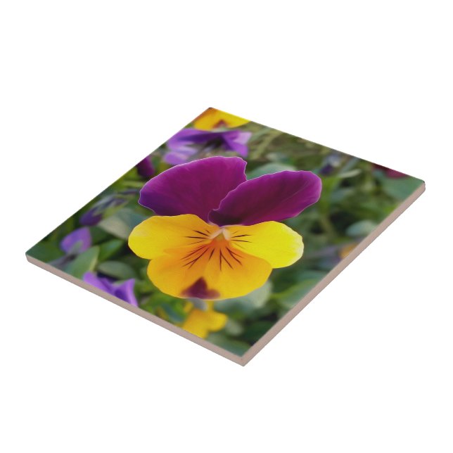 Shining pansies tile (Side)