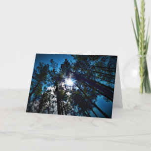 Shining Through, card