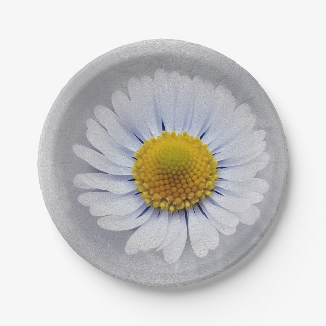 shining white daisy paper plate (Front)